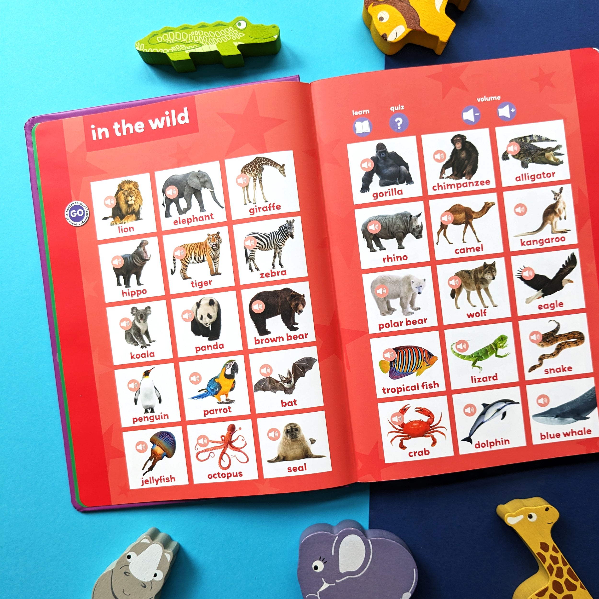 First Words Sound Book for Toddlers - 350+ Interactive Sounds