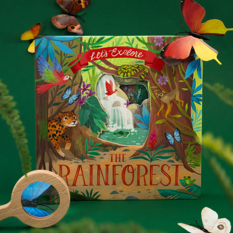 Let’s Explore The Rainforest - Children’s Lift-the-Flap Book