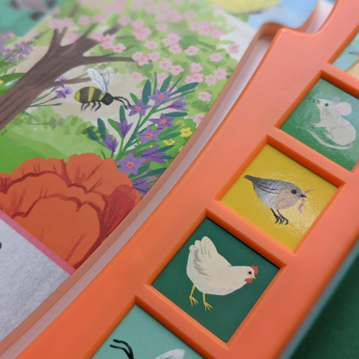 Let’s Explore The Noisy Garden - Children's 6 Button Sound Book