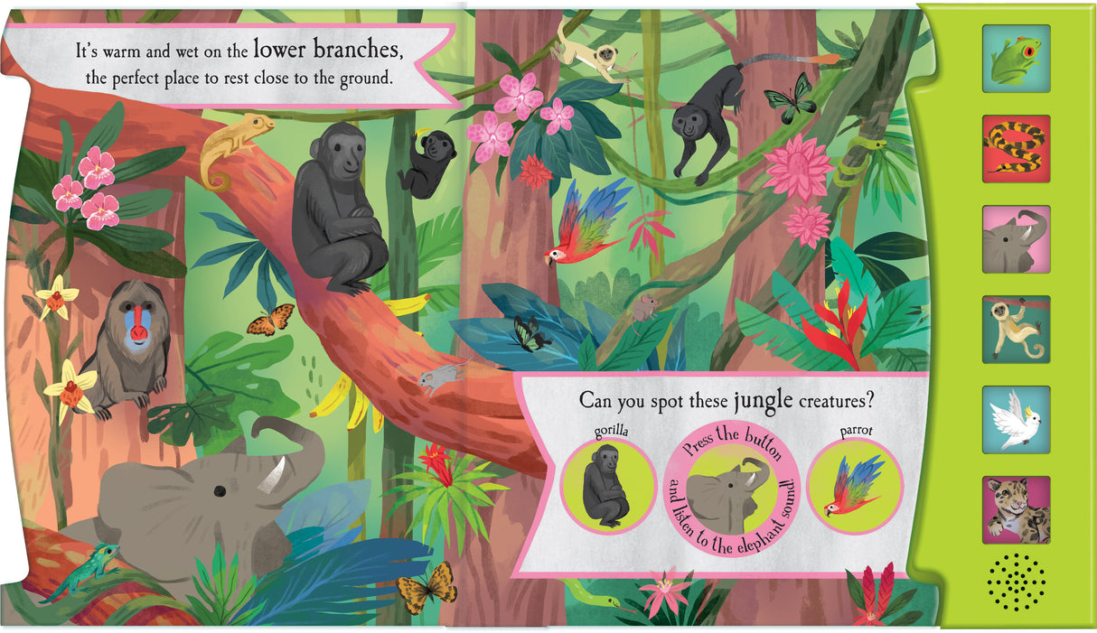 Let’s Explore The Noisy Jungle - Children's 6 Button Sound Book