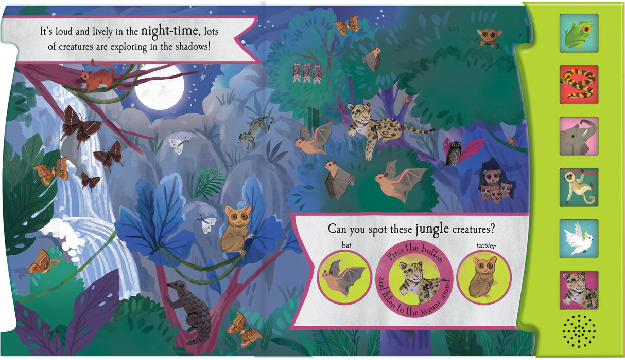 Let’s Explore The Noisy Jungle - Children's 6 Button Sound Book