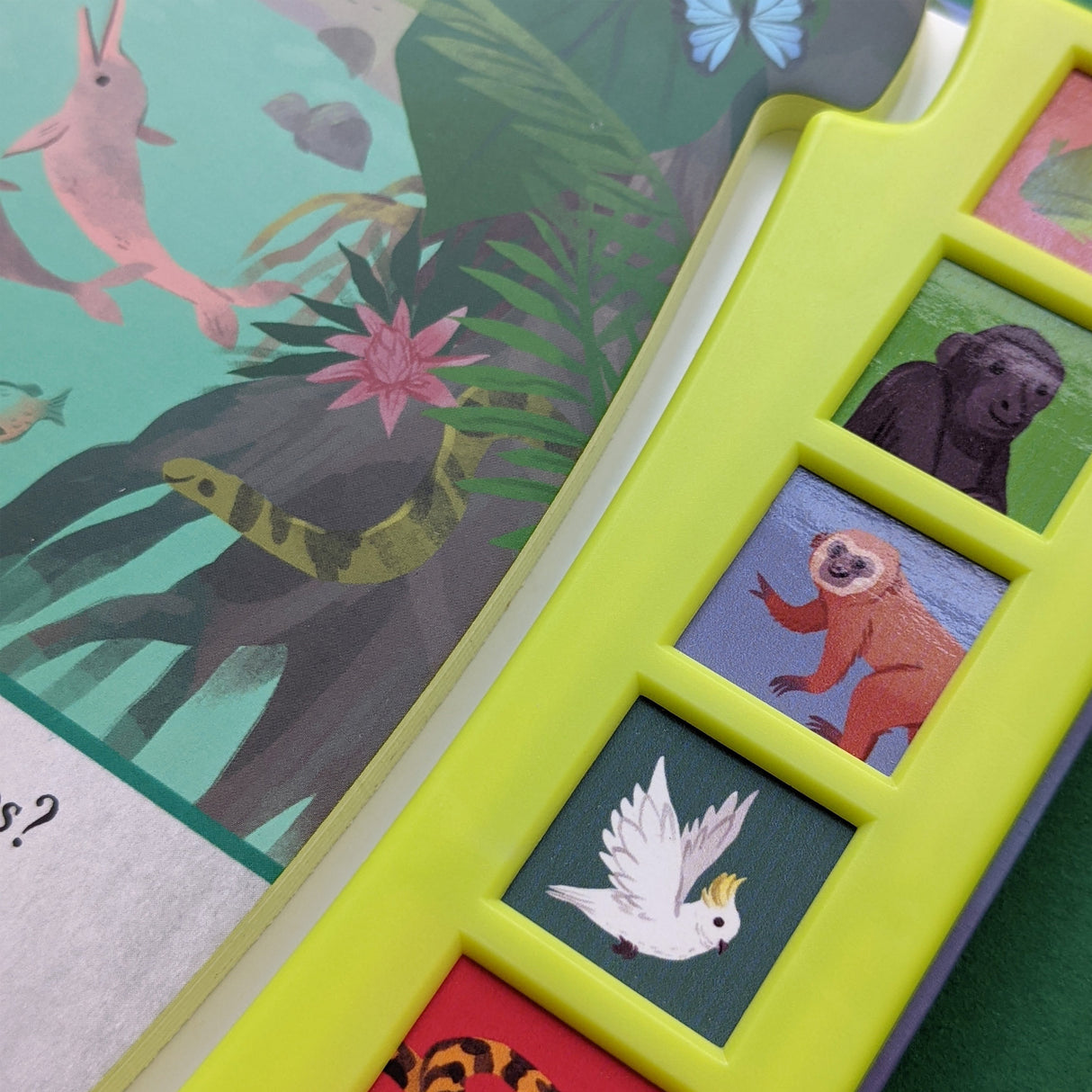 Let’s Explore The Noisy Jungle - Children's 6 Button Sound Book