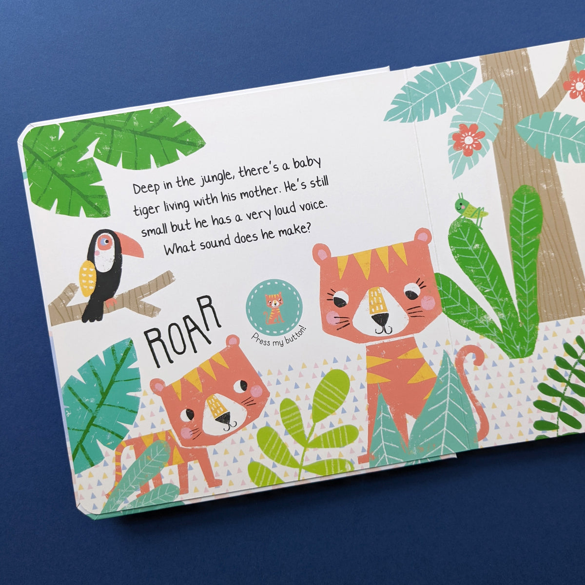 Squawk Squawk Squawk Squawk In The Noisy Jungle - Children's 12 Button Sound Book ...