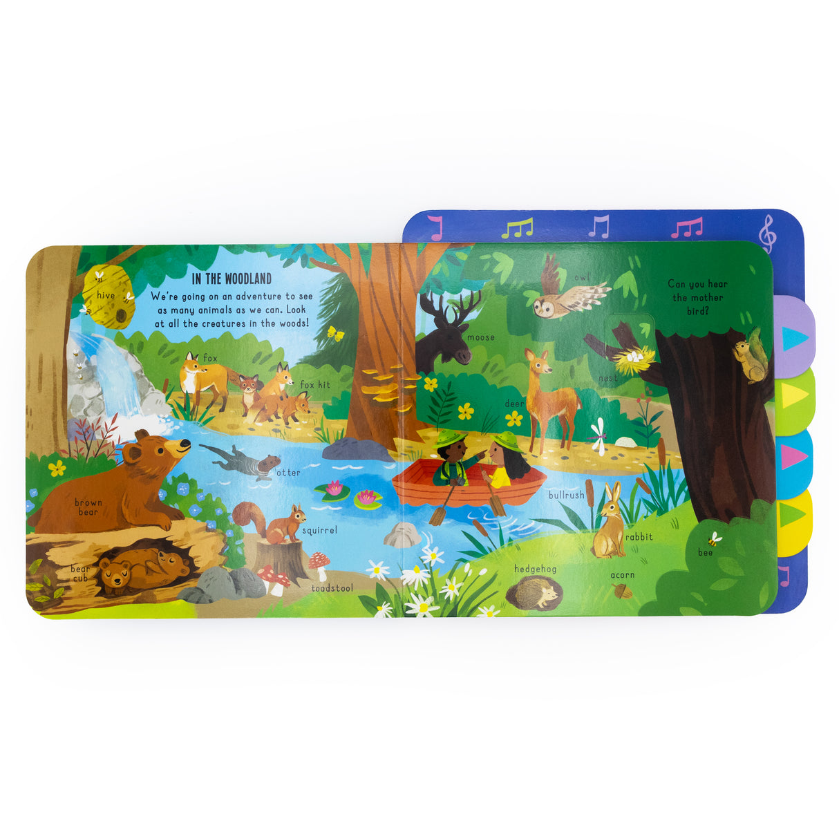 In the Wild! – Pull-Tab Sound Book for Kids
