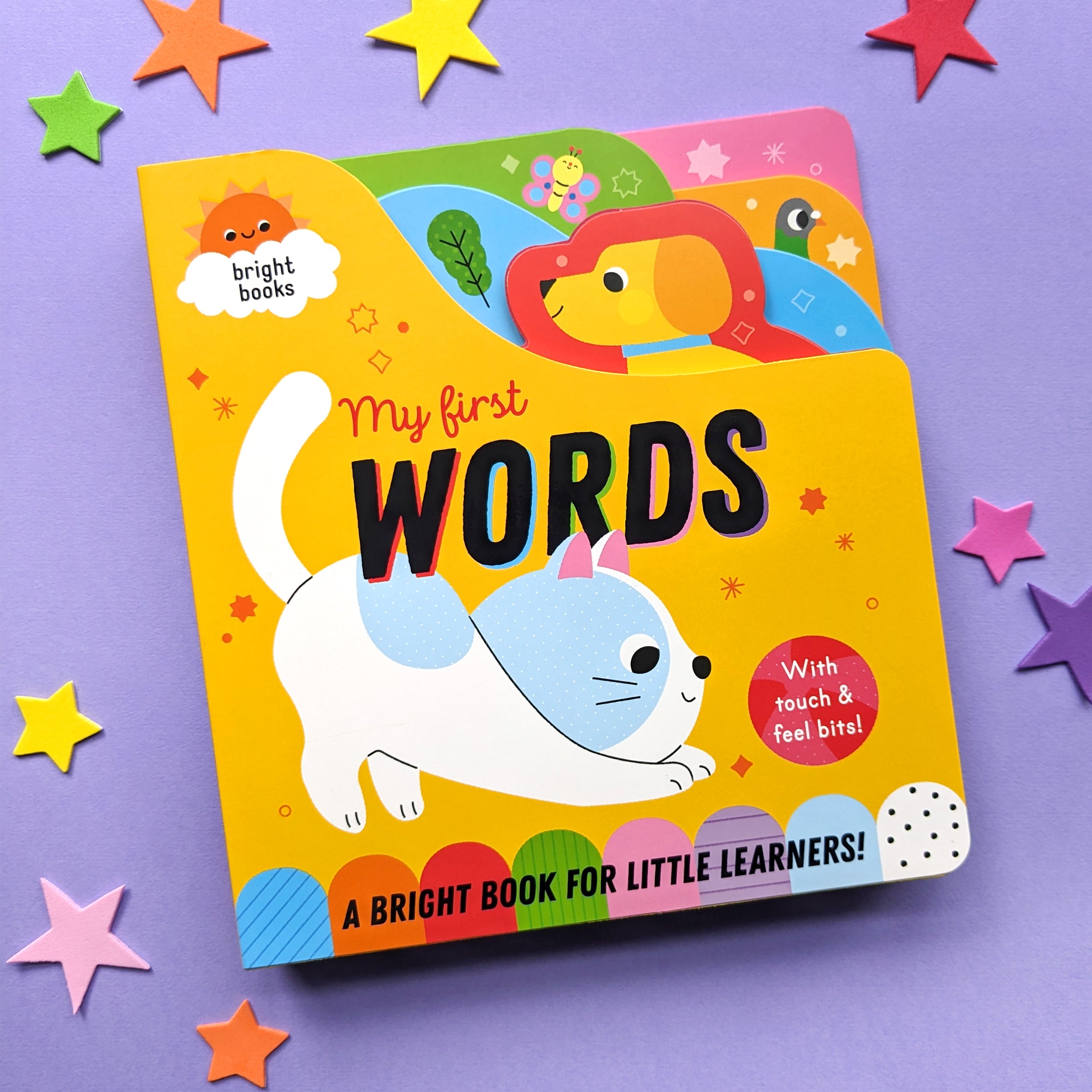 My First Words - Rainbow Colour Board Book – Robert Frederick