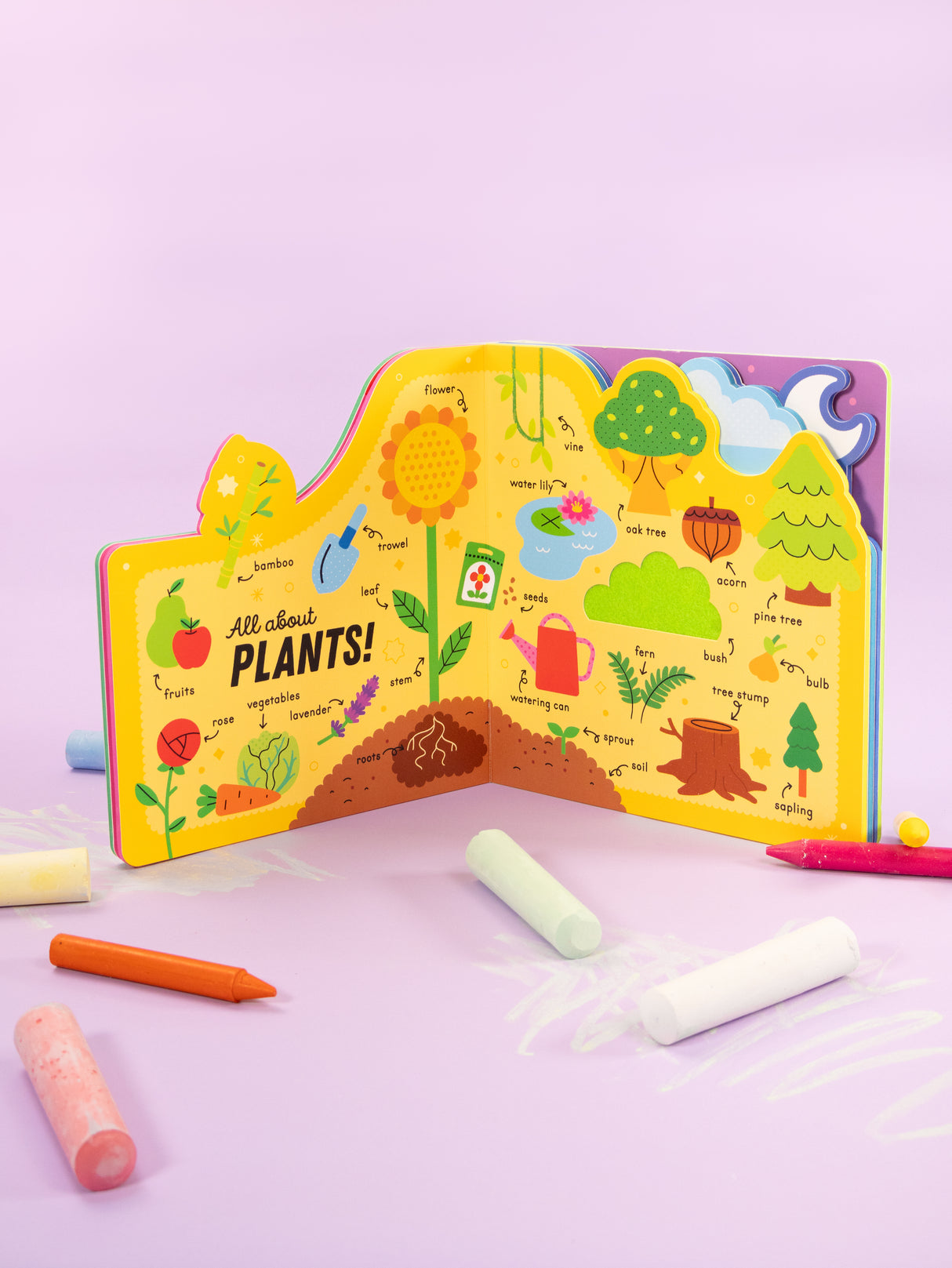 My First Nature Words - Chunky Early Learning Book