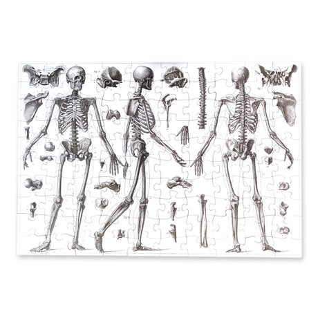 Vintage Skeletons – 100 Piece Puzzle