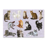 Patricia MacCarthy Cats – 100 Piece Puzzle