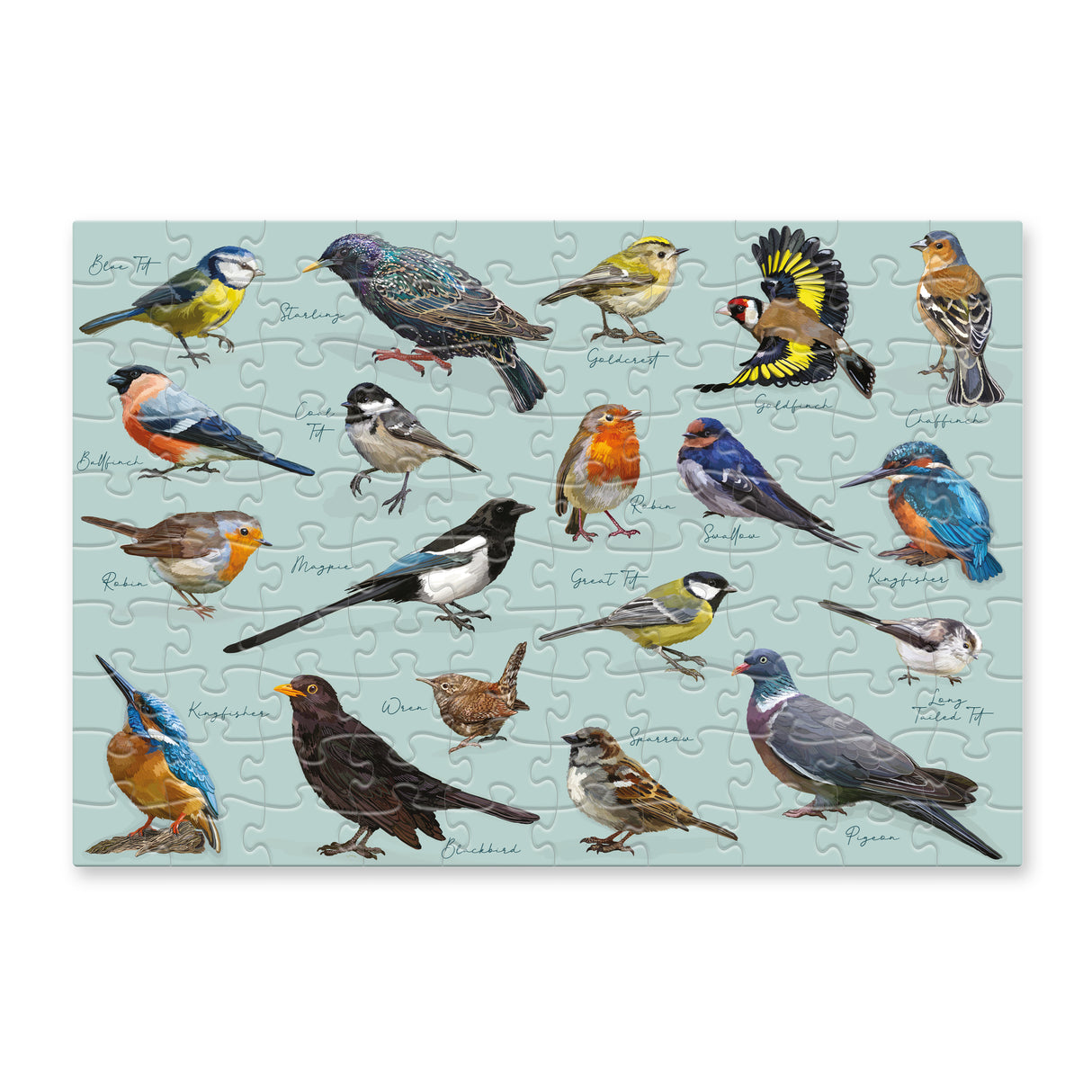 Patricia MacCarthy Birds - 100 Piece Puzzle