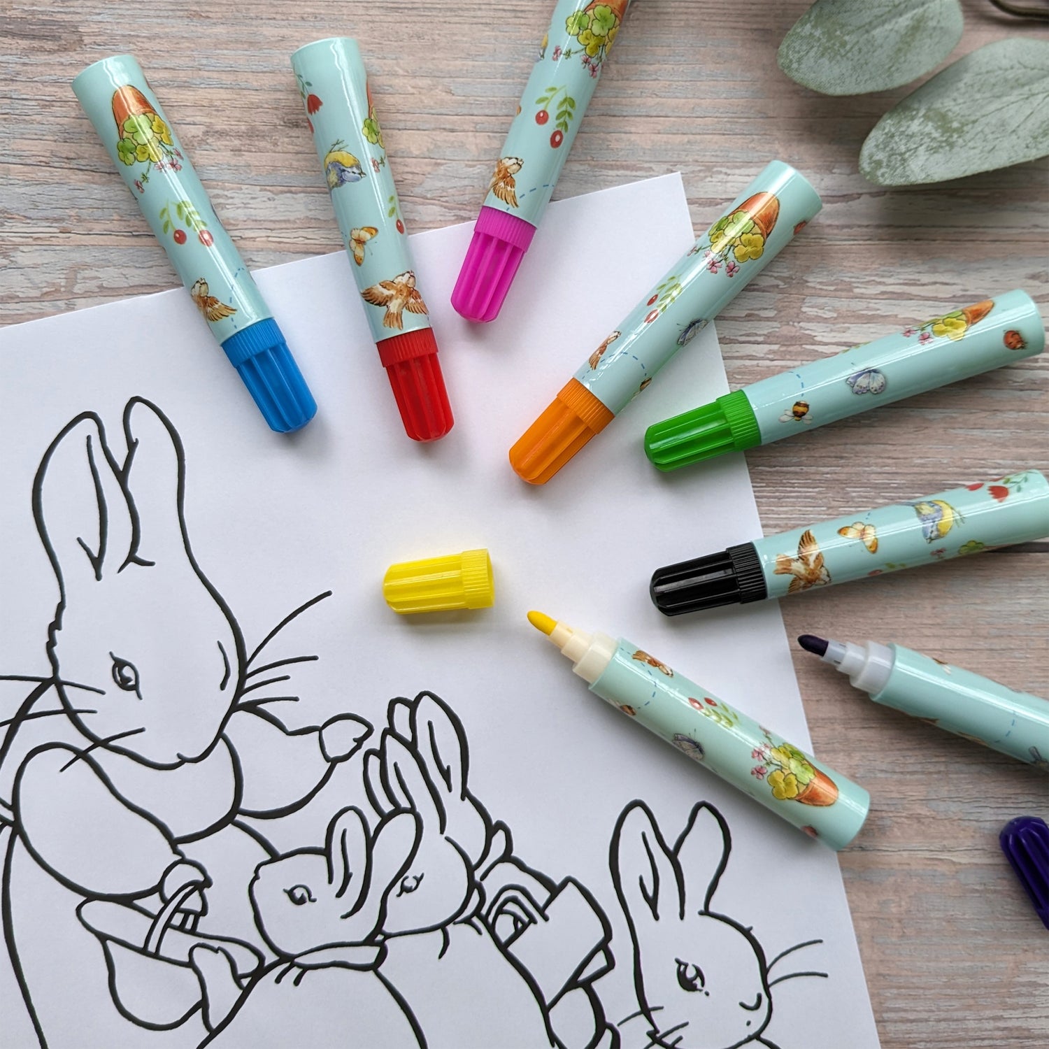 Peter Rabbit Jumbo Markers – Robert Frederick