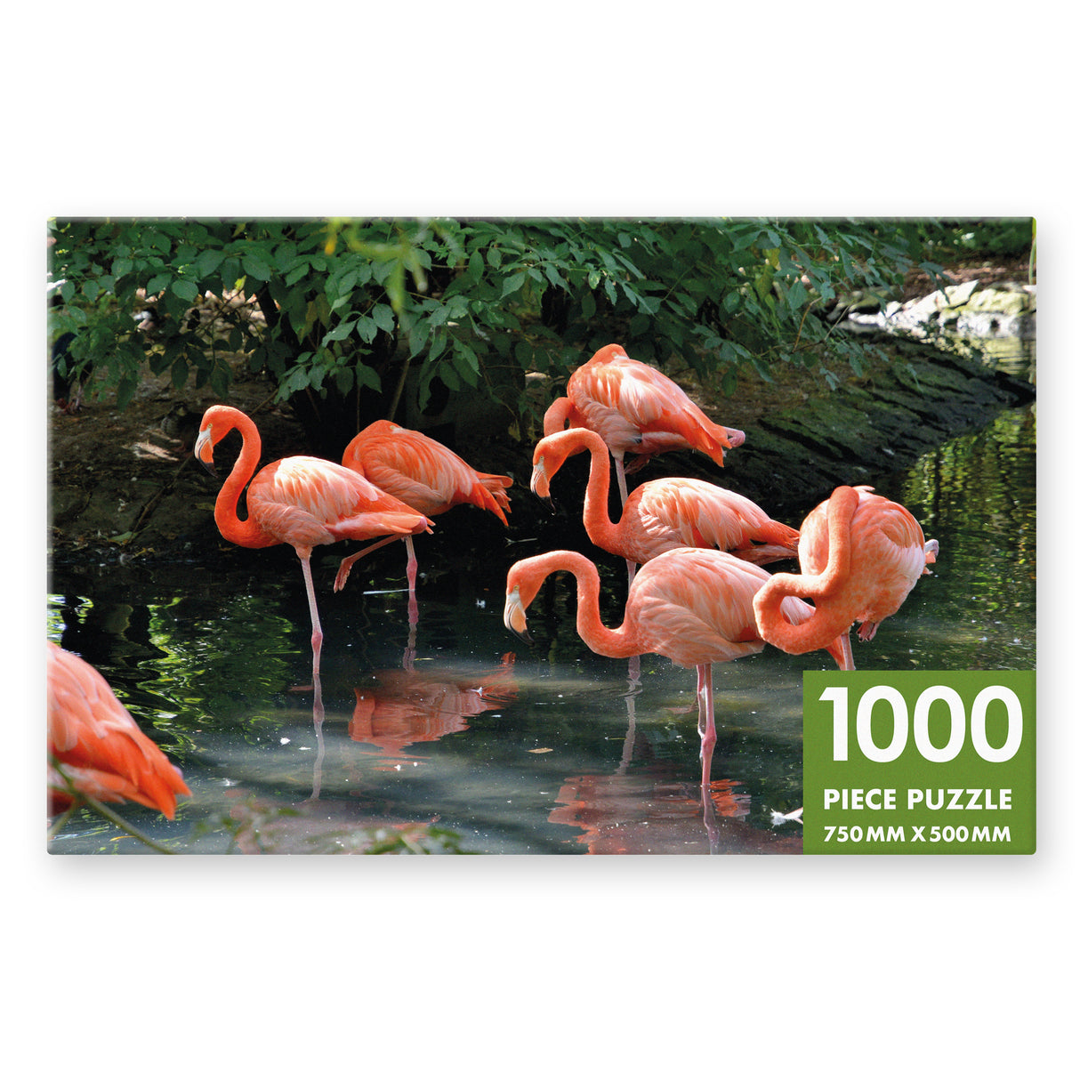 Flamboyance Of Flamingos - 1000 Piece Puzzle