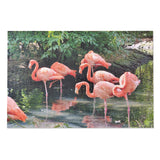 Flamboyance Of Flamingos - 1000 Piece Puzzle