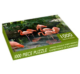Flamboyance Of Flamingos - 1000 Piece Puzzle