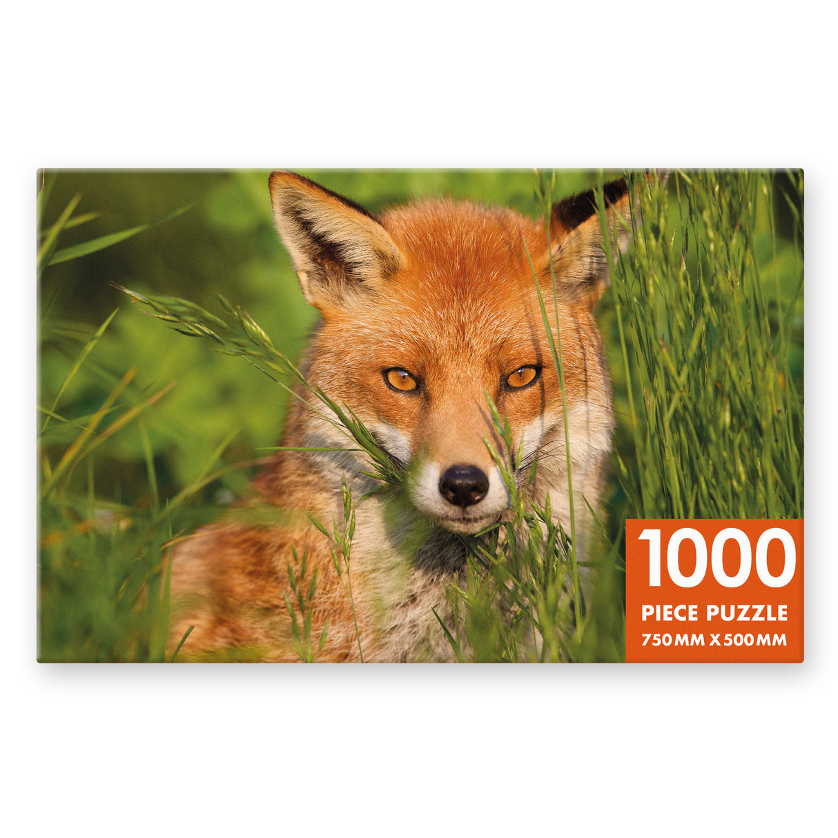 Amber Fox - 1000 Piece Puzzle
