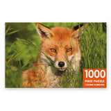 Amber Fox - 1000 Piece Puzzle