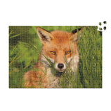 Amber Fox - 1000 Piece Puzzle