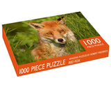 Amber Fox - 1000 Piece Puzzle