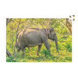 Sri Lankan Elephant - 1000 Piece Puzzle