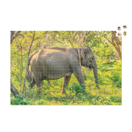 Sri Lankan Elephant - 1000 Piece Puzzle