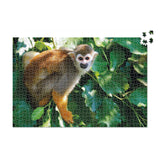 Costa Rica Monkey - 1000 Piece Puzzle