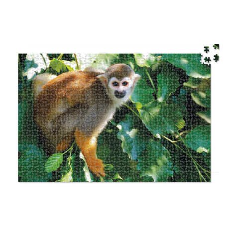 Costa Rica Monkey - 1000 Piece Puzzle