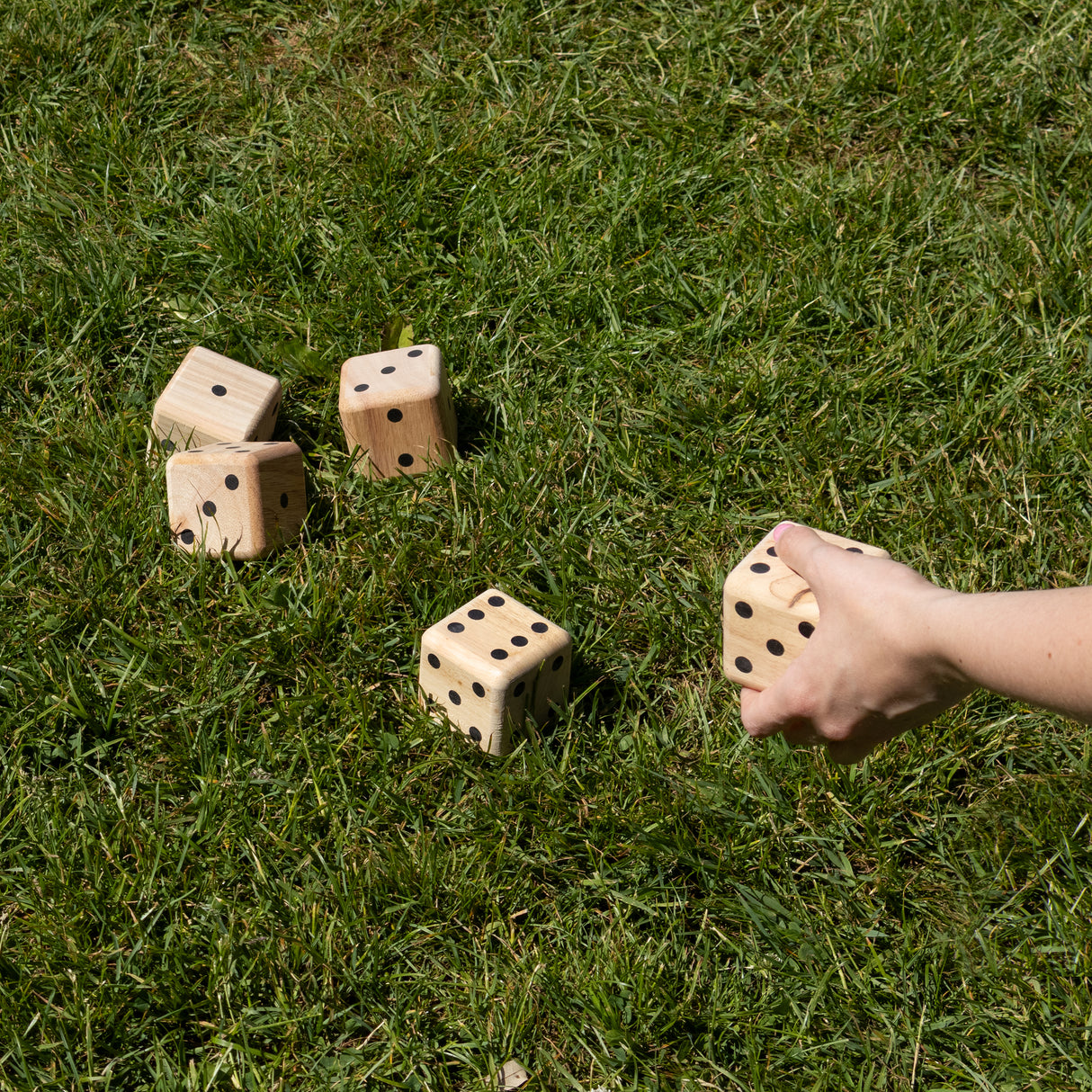 Flamingo Games Giant Dice Game