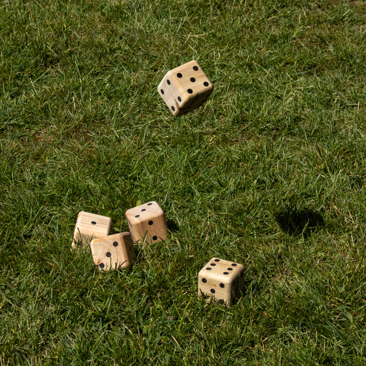 Flamingo Games Giant Dice Game