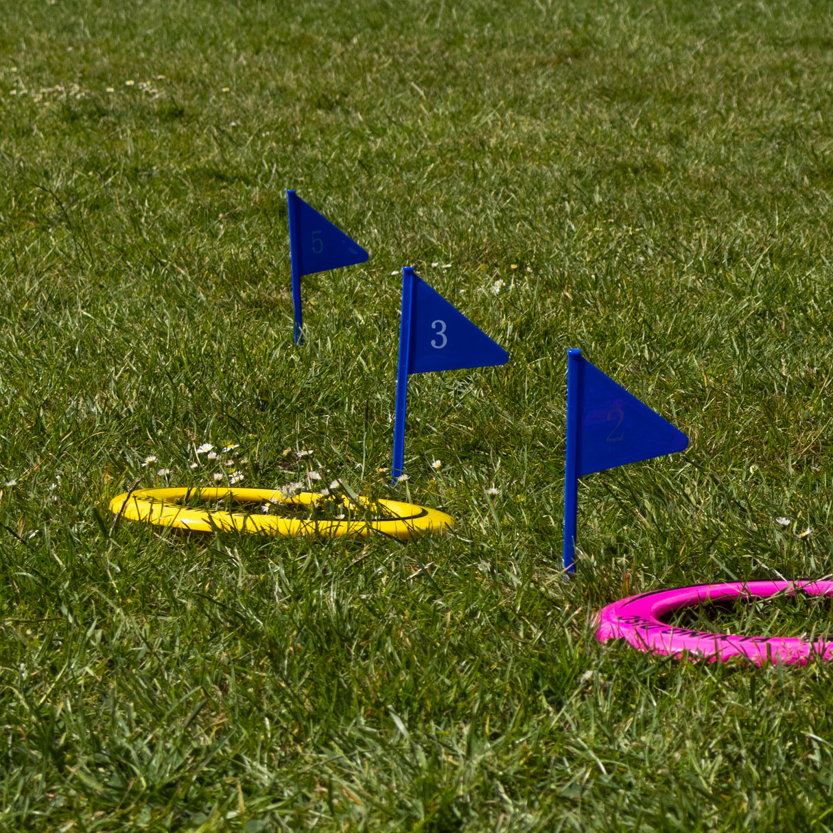 Flamingo Games Flying Disc Golf