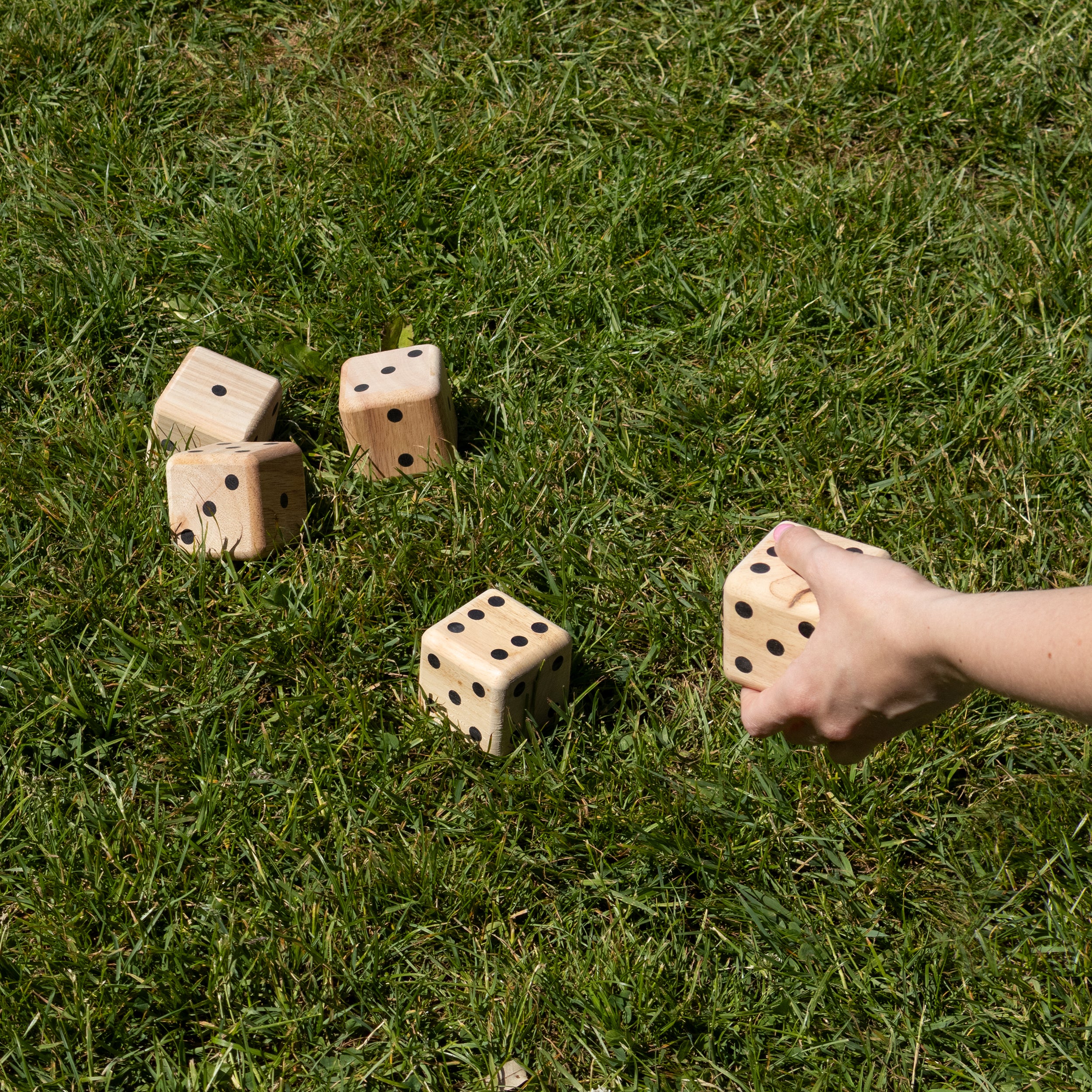 Carnival Games Giant Dice Yatzy – Robert Frederick