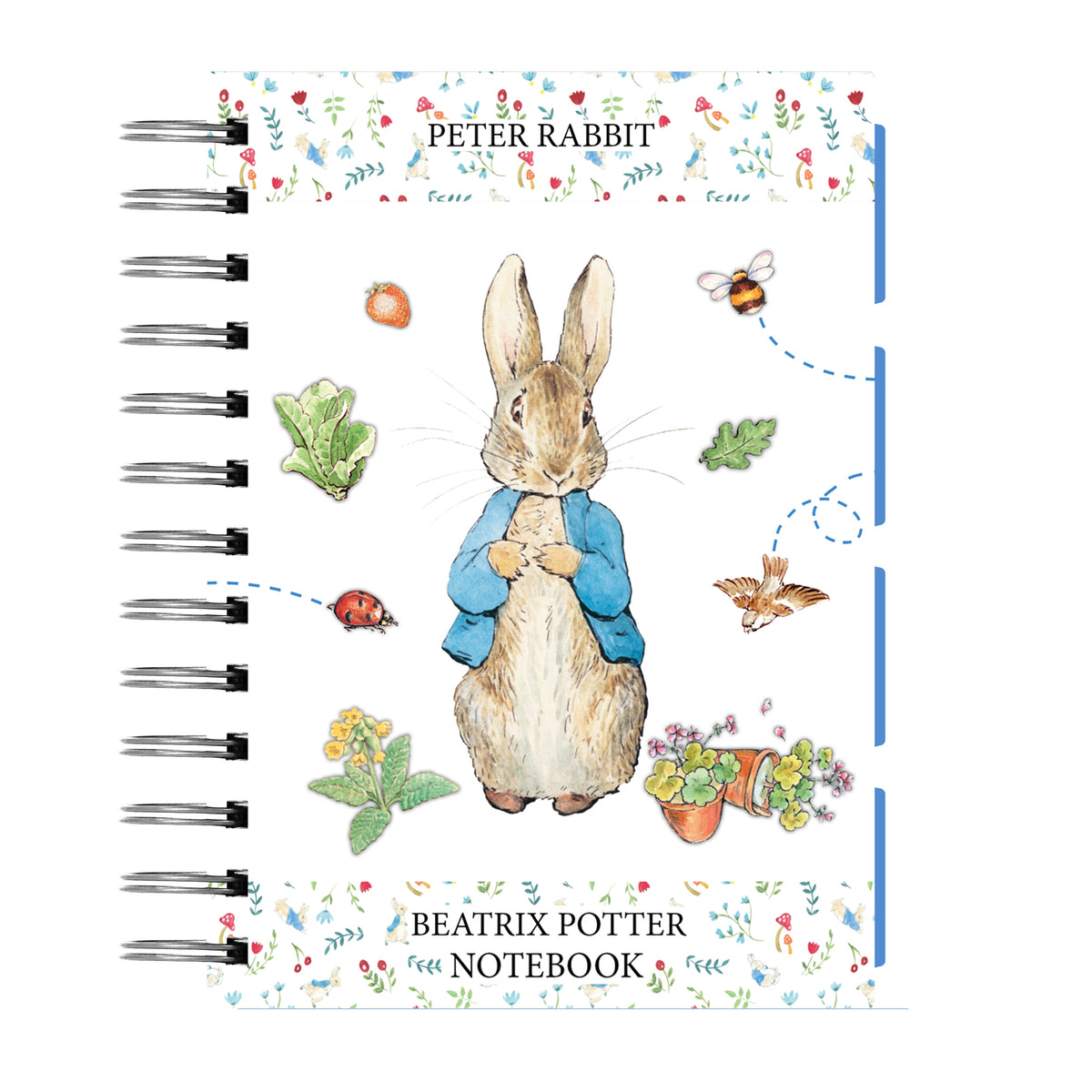 Peter Rabbit A5 Wired Notebook With Dividers – Robert Frederick
