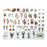 Seashore - 500 Piece Puzzle
