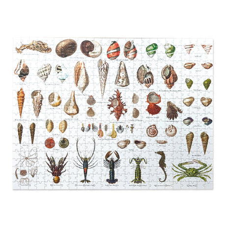 Seashore - 500 Piece Puzzle
