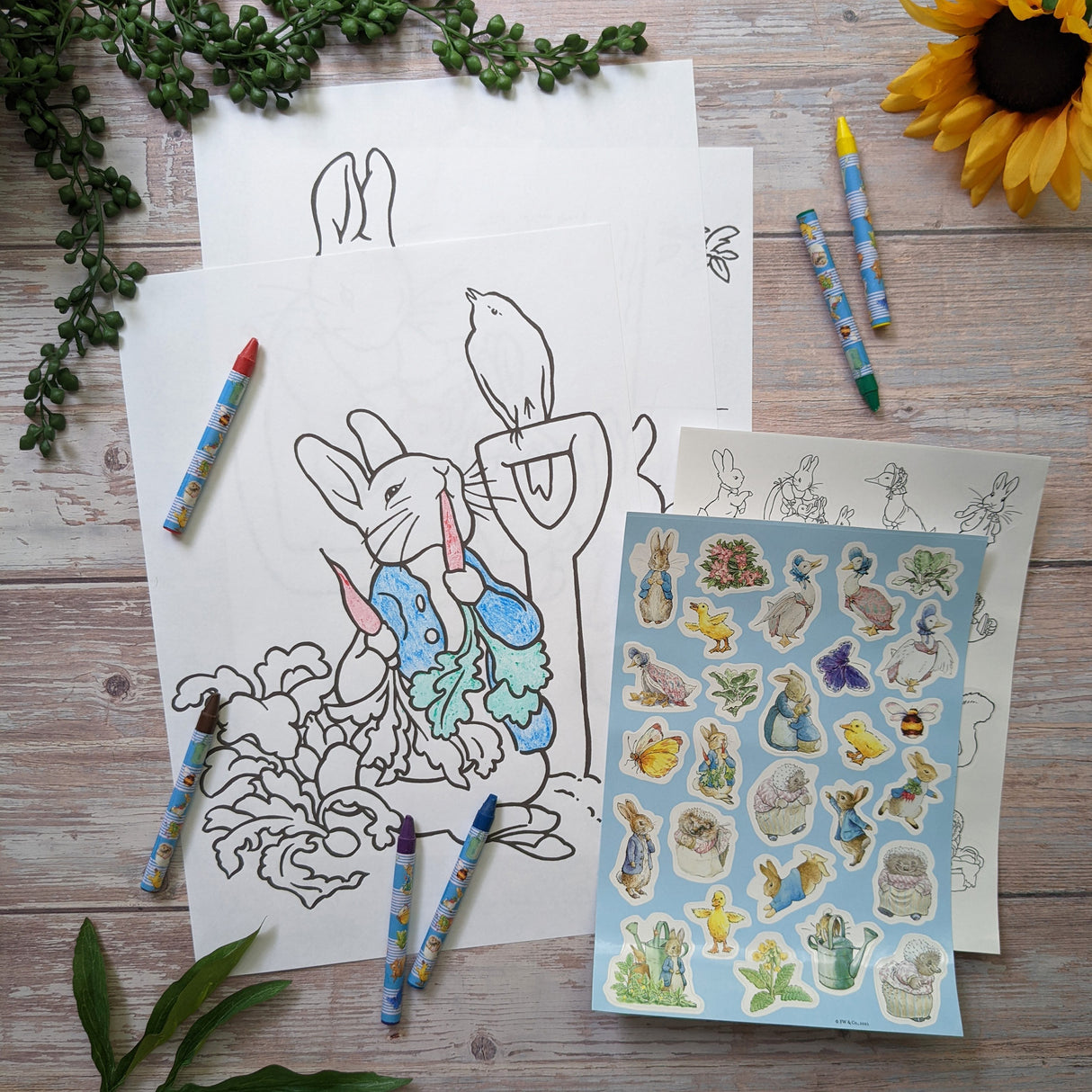Beatrix Potter Children's Colouring Set - Includes Crayons and Stickers