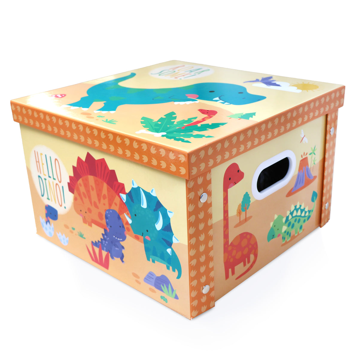 Dinosaurs Collapsible Storage Box – Robert Frederick