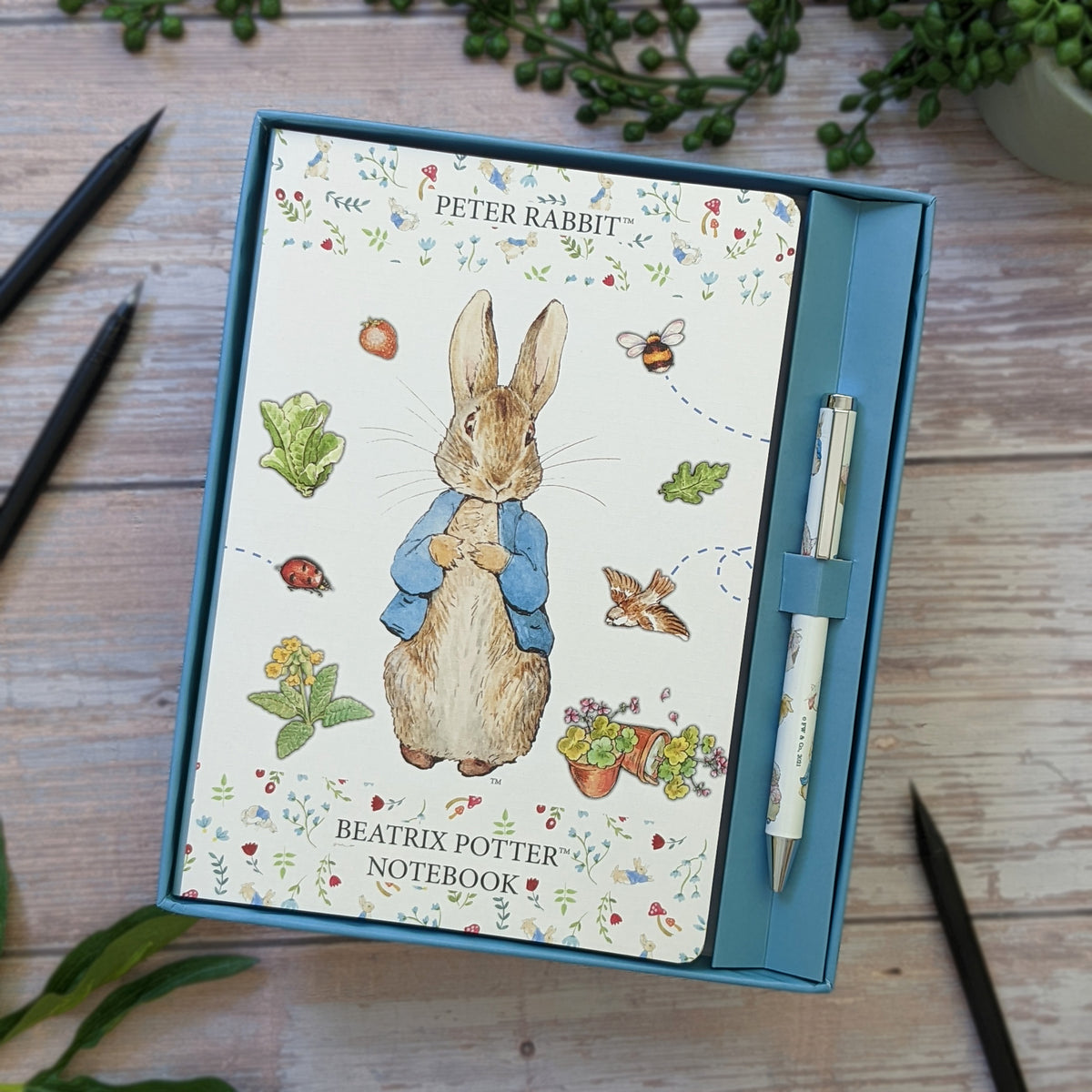 Notebooks Rabbits Peter Rabbit Notebook & Pen Set – Robert Frederick