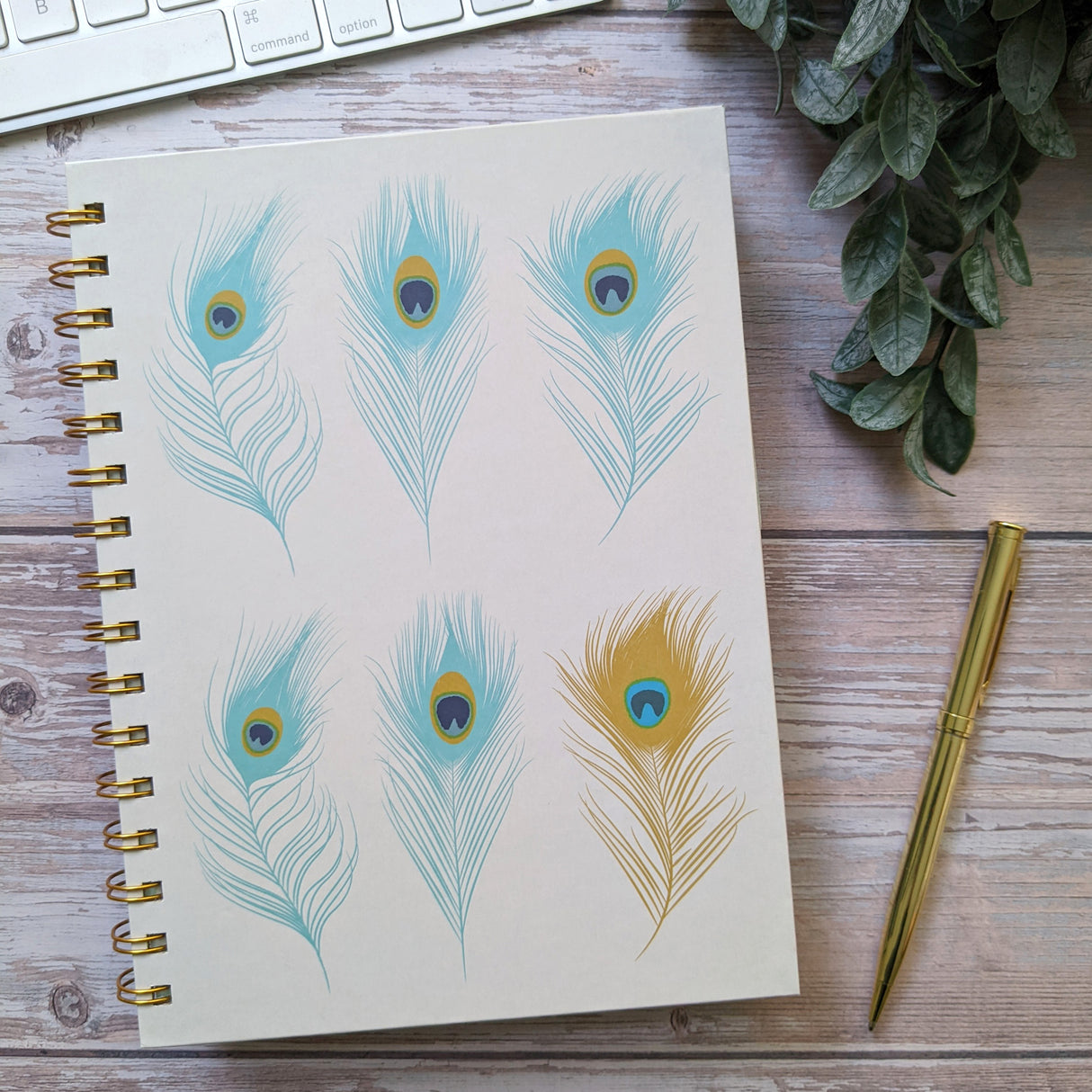 Peacock Feathers A5 Notebook With Dividers