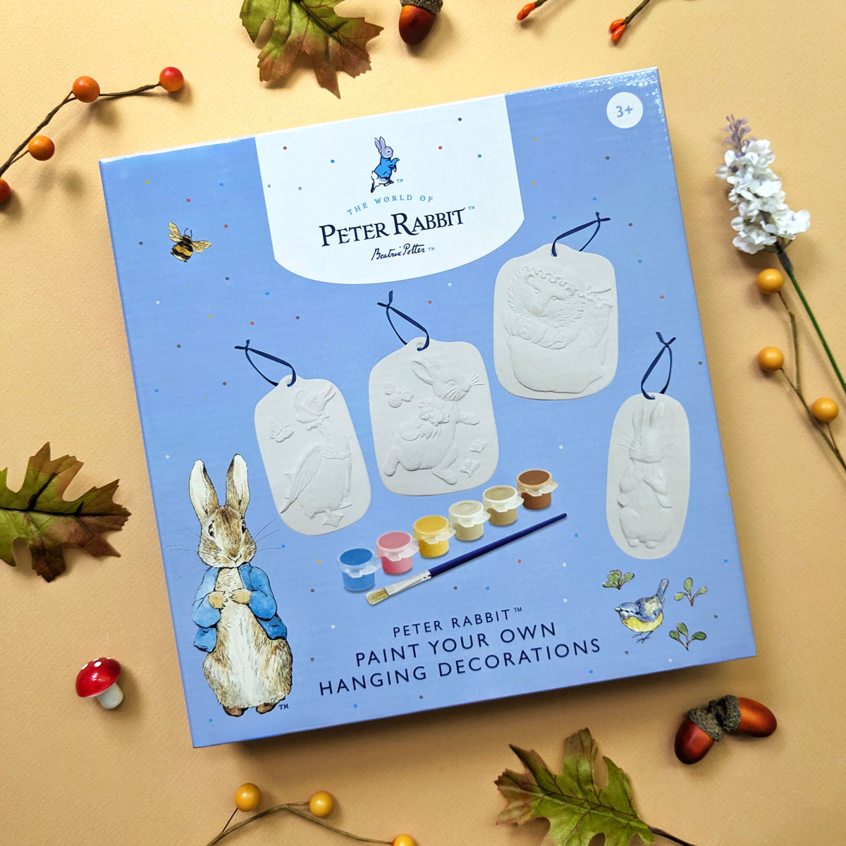 Peter Rabbit Paint Peter Rabbit Paint Your Own Hanging Decorations - Children's Craft Kit ...