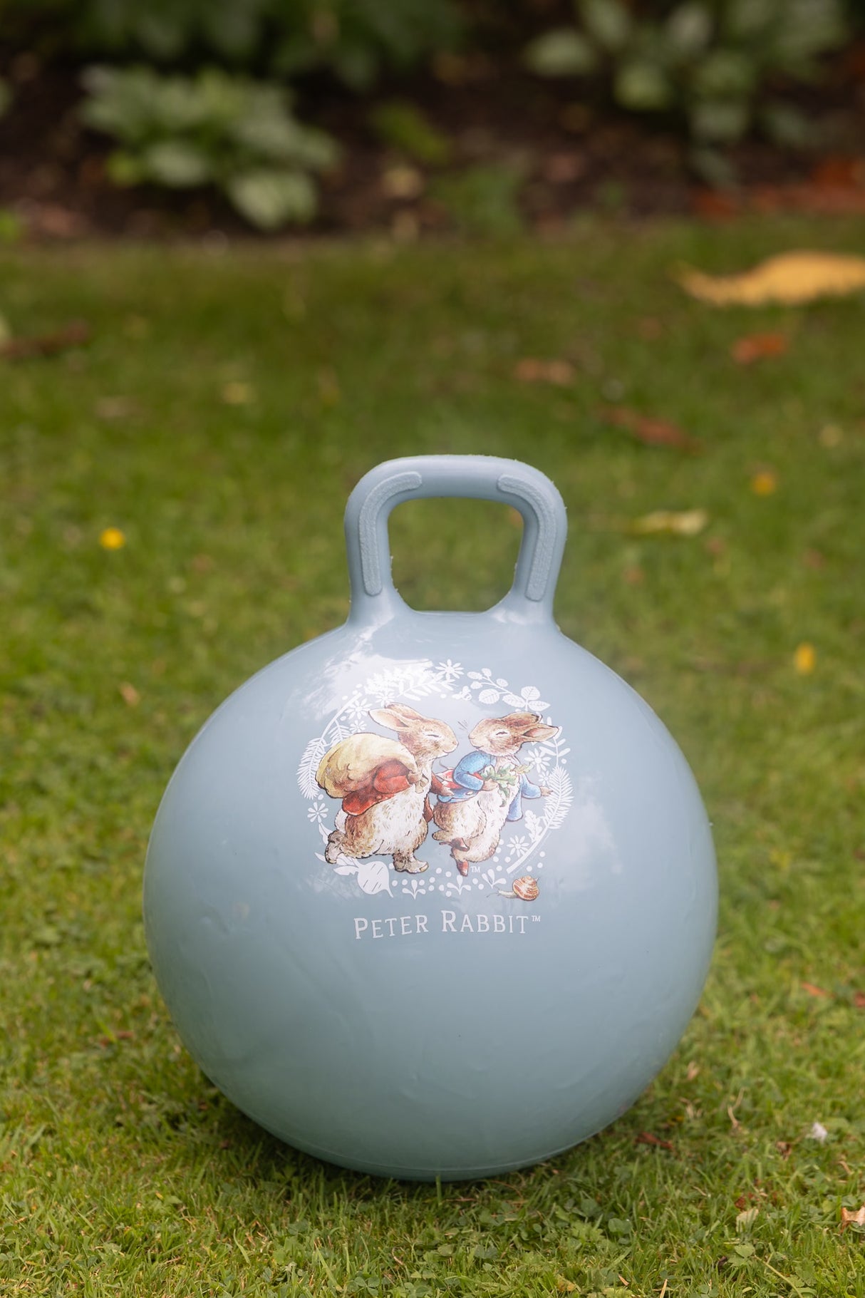 Peter Rabbit Space Hopper