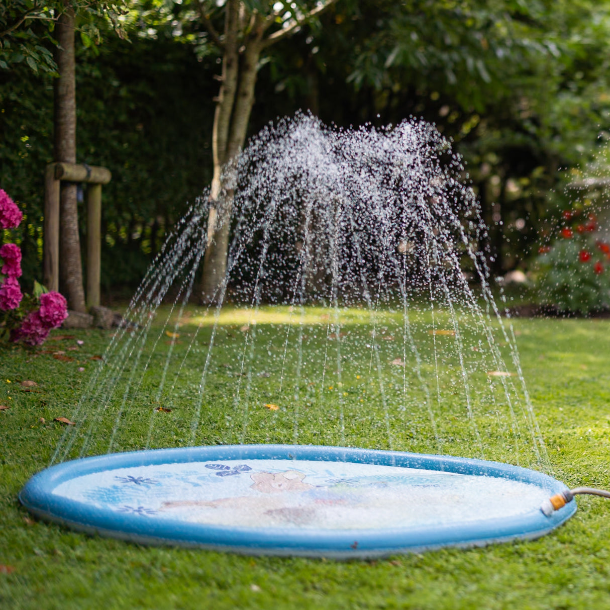 Peter Rabbit Splash Pad – Garden Water Fun!