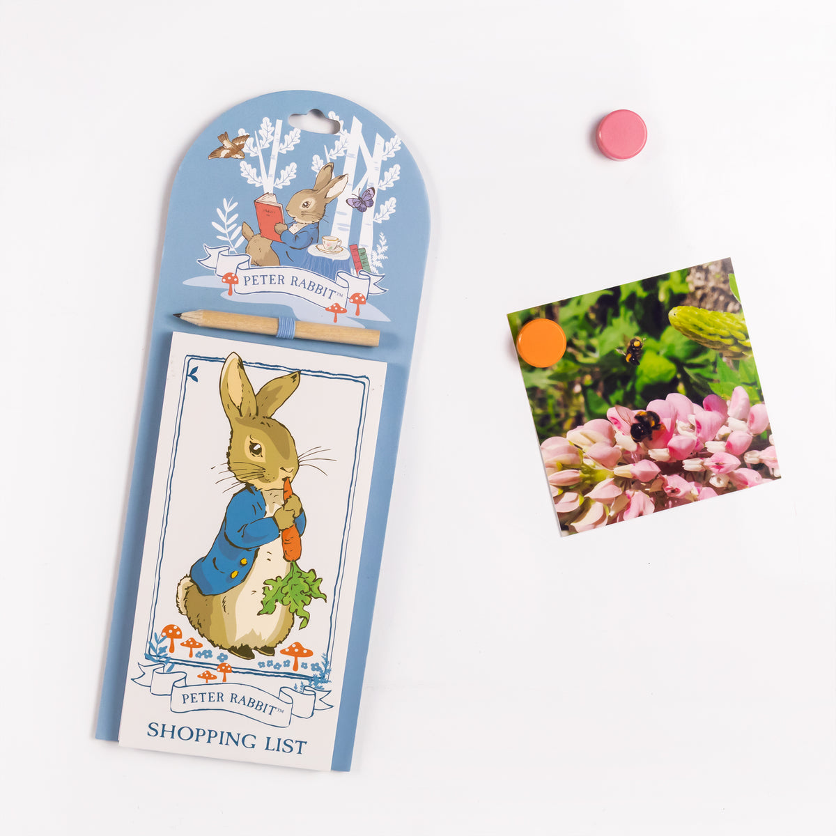 Forest Tree Peter Rabbit Peter Rabbit Magnetic List Pad - Forest Picnic Design – Robert Frederick