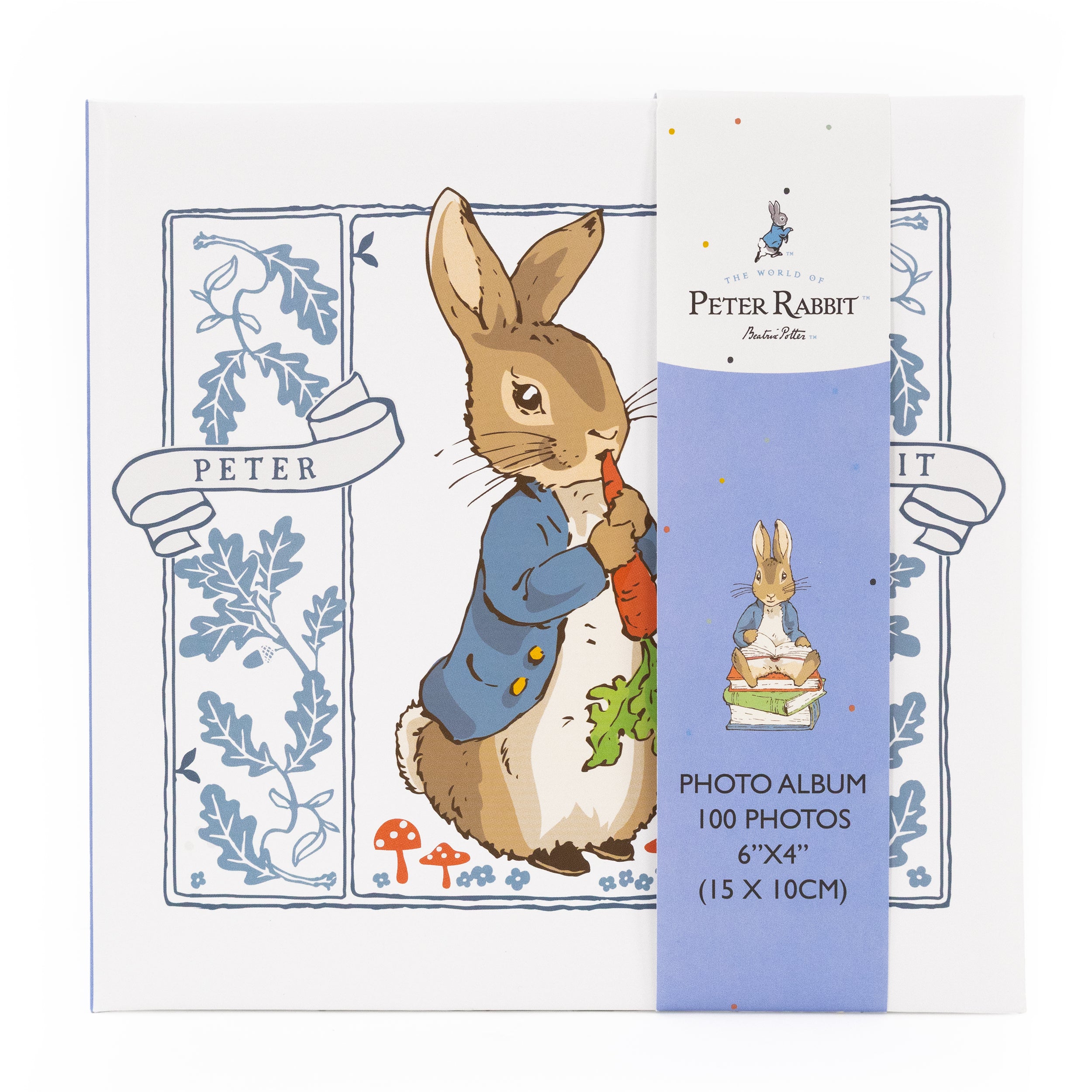 Baby Photo Albums - First Year Memory Albums & Keepsakes – Robert