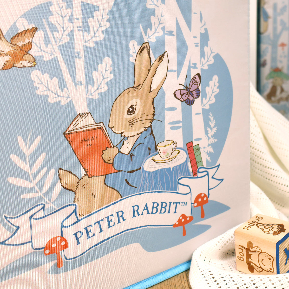 Peter Rabbit Cube Peter Rabbit Fabric Storage Cubes – Pack of Two – Robert Frederick