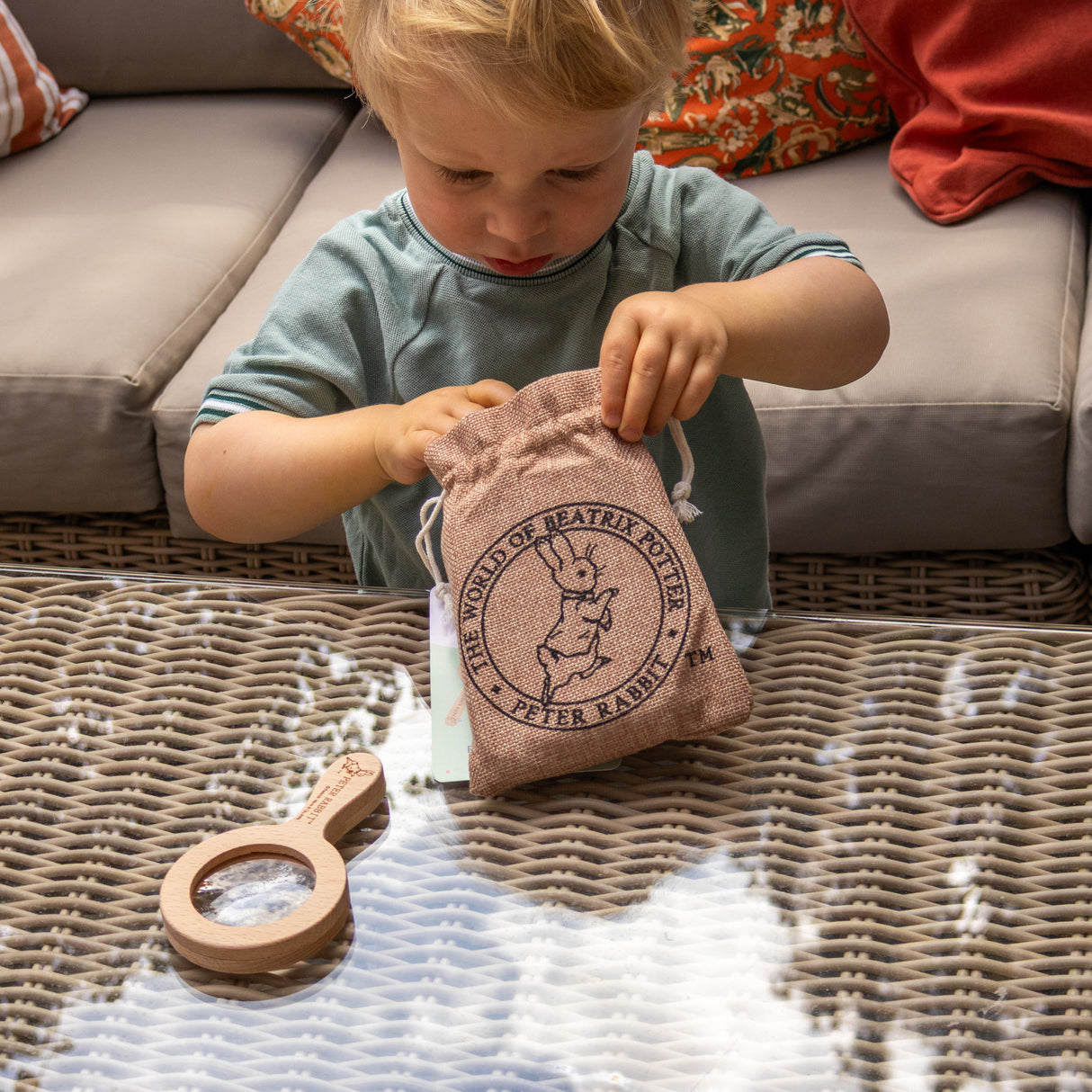 Peter Rabbit Bug Spotter Activity Set