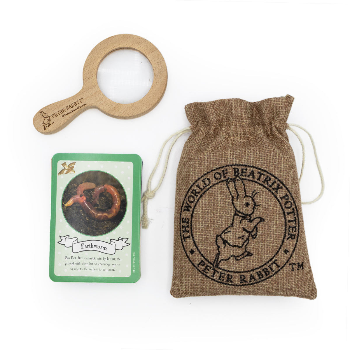 Peter Rabbit Bug Spotter Activity Set - Nature Discovery Kit – Robert ...
