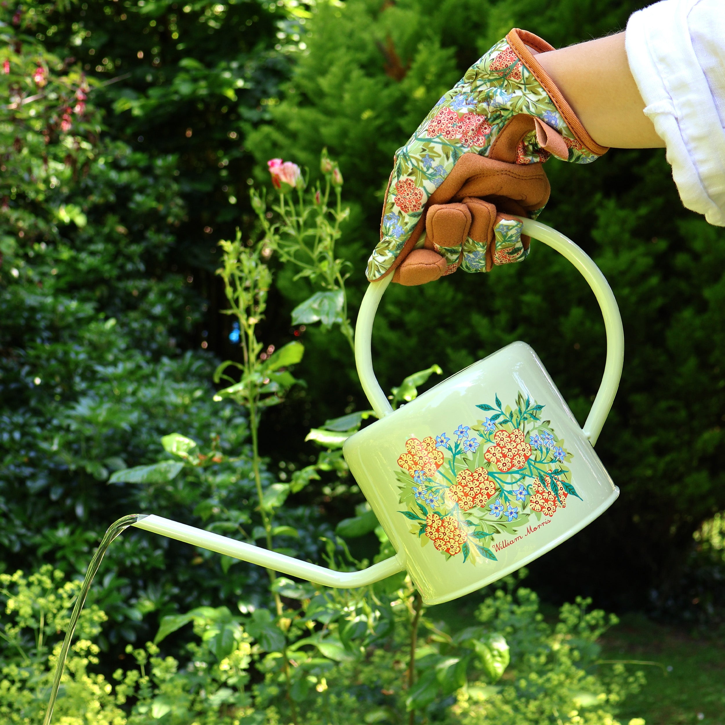 Orange Grove Watering Can – William Morris Jasmine Design – Robert