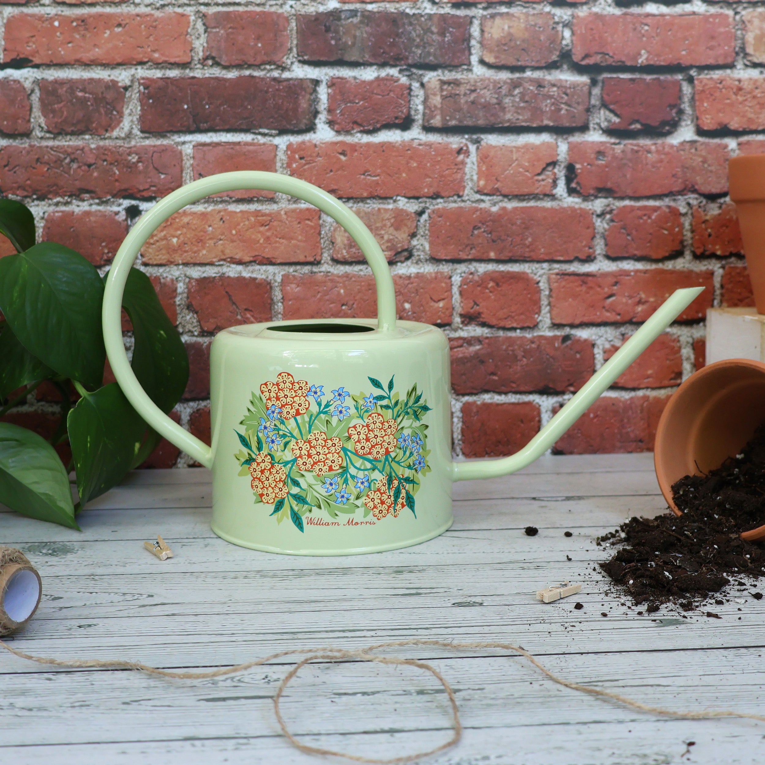 Orange Grove Watering Can – William Morris Jasmine Design – Robert