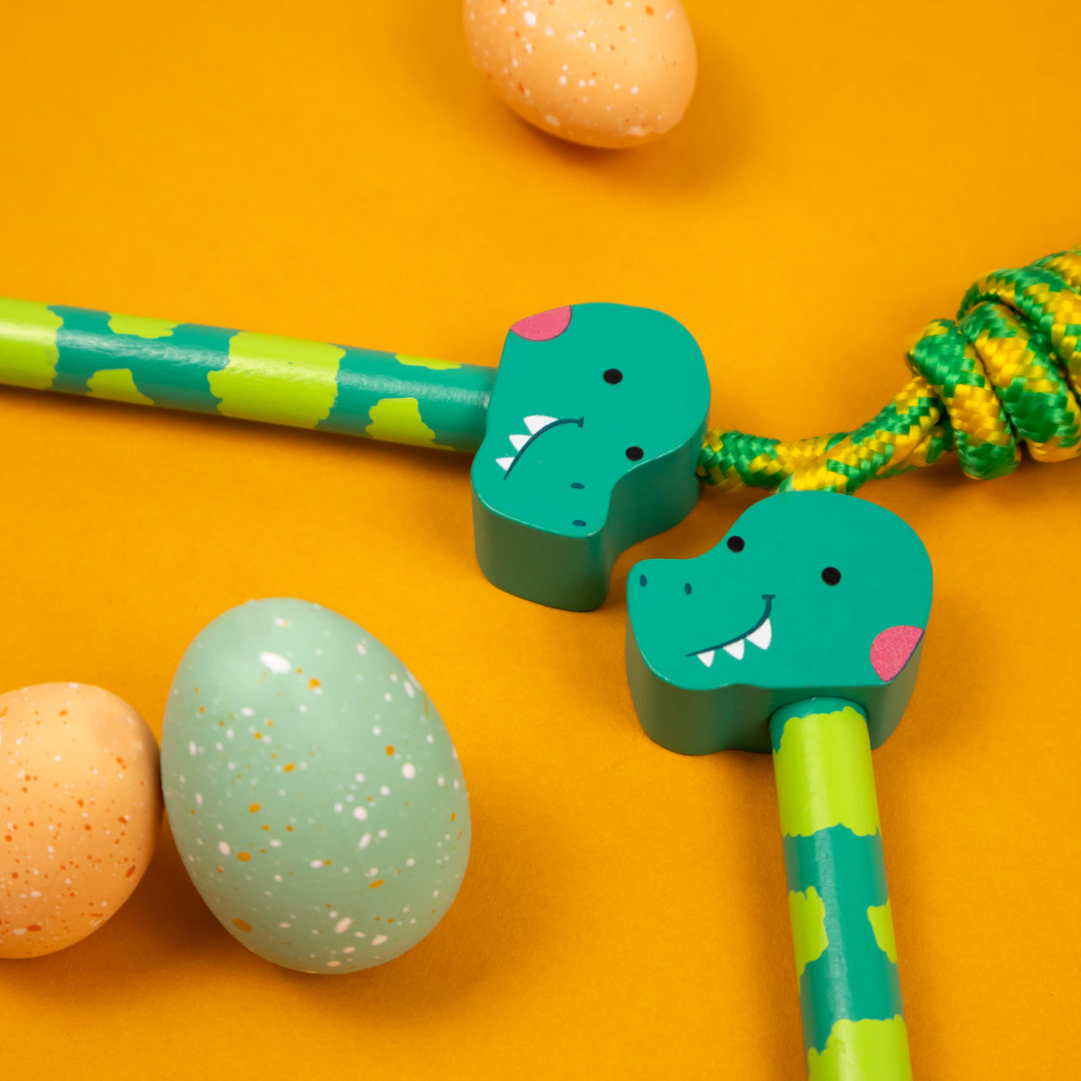 Dinosaur Skipping Rope