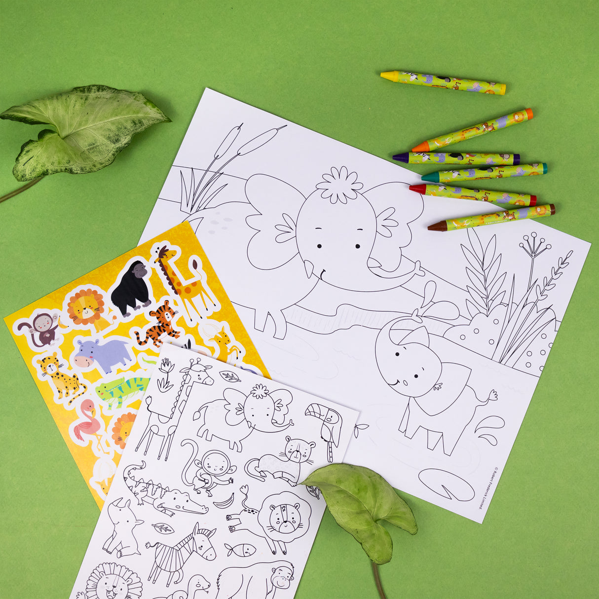 Jungle Animals Children's Colouring Set With Crayons & Stickers