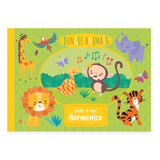 Learn To Play Harmonica Set