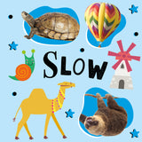 Opposites – My Little Learning Book – Children’s Board Book